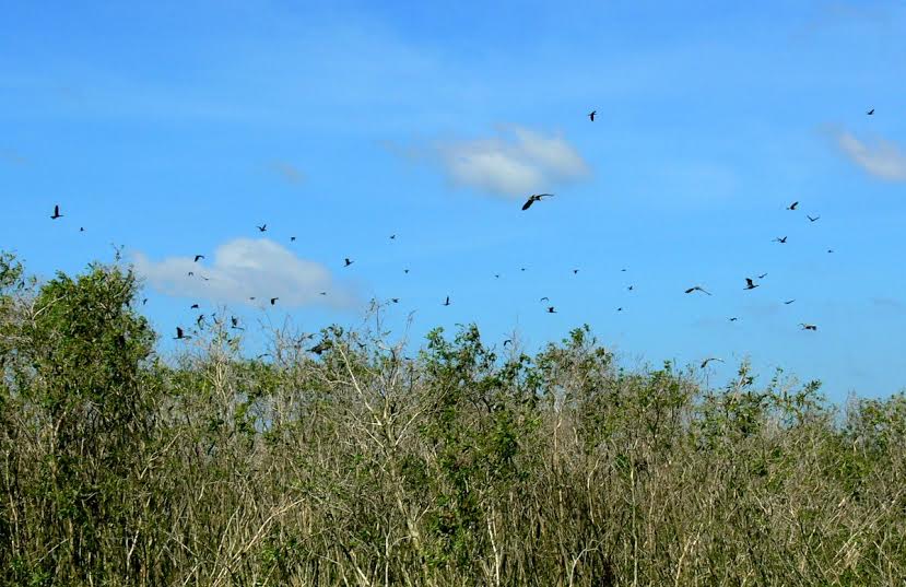U[-]Minh[-]Thượng[-]trở[-]thành[-]Khu[-]Ramsar[-]thứ[-]2228[-]của[-]thế[-]giới